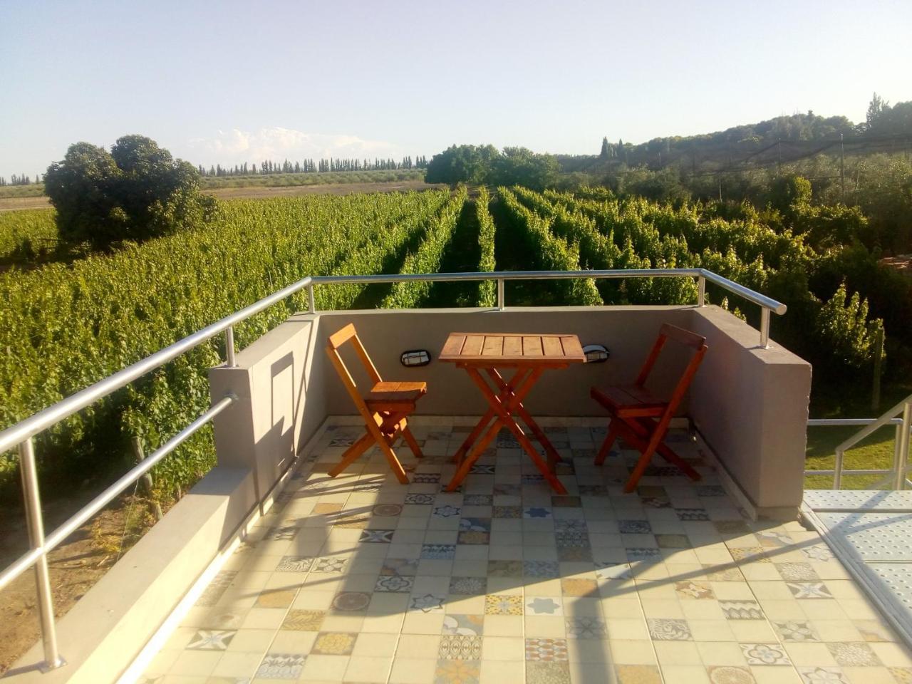 Hotel Cavieres Wine Farm 3*